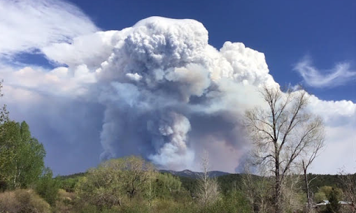 Calf Canyon - Hermits Peak Fire - May 15 2022 - Emmy Koponen