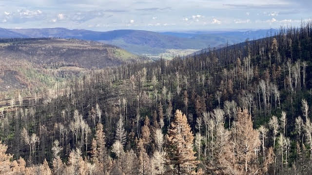 Hermits peak burned area